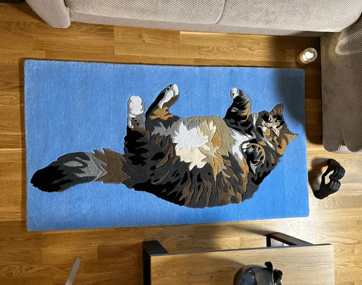 Close-up of the cat rug face and fur markings.