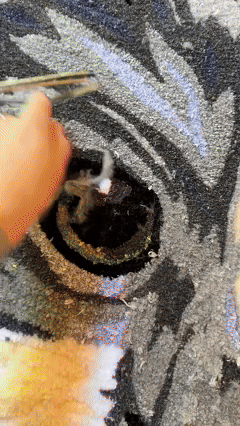 custom_order_page.journey_section.image_alts.finished